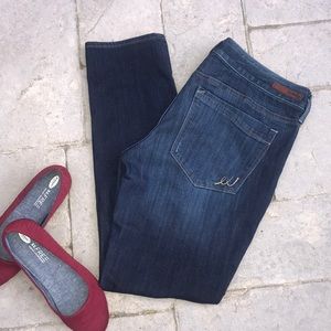 Express Stella Skinny Low Rise Dark Wash Jeans